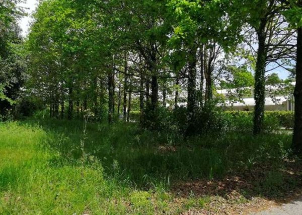 terreno agricolo in vendita a Treviso in zona Santa Bona