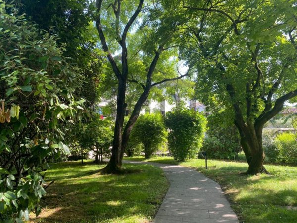 appartamento in vendita a Treviso in zona San Pelaio