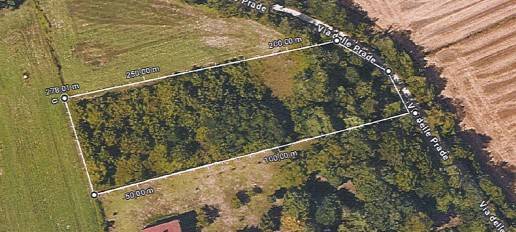 terreno agricolo in vendita a Treviso
