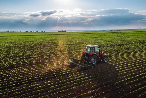 terreno agricolo in vendita a Treviso in zona Santa Bona