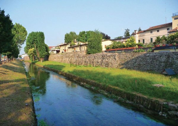 negozio in vendita a Treviso