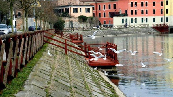 appartamento in vendita a Treviso
