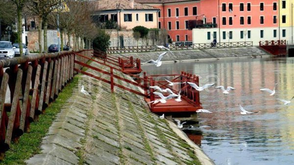 appartamento in vendita a Treviso