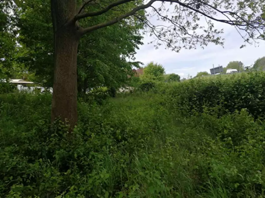 terreno agricolo in vendita a Treviso