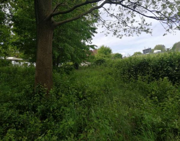 terreno agricolo in vendita a Treviso