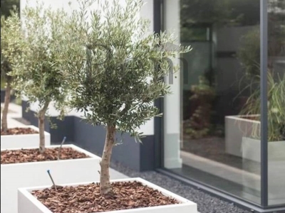 appartamento in vendita a Treviso in zona Centro Storico