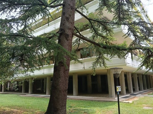 appartamento in vendita a Treviso