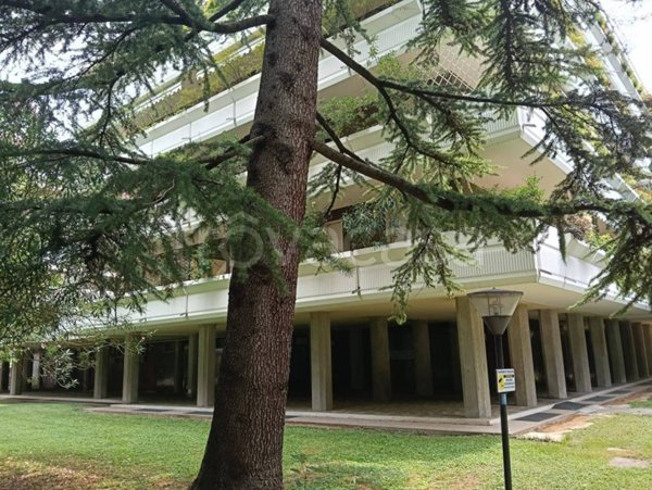 appartamento in vendita a Treviso