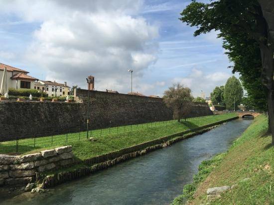 negozio in vendita a Treviso in zona Centro Storico