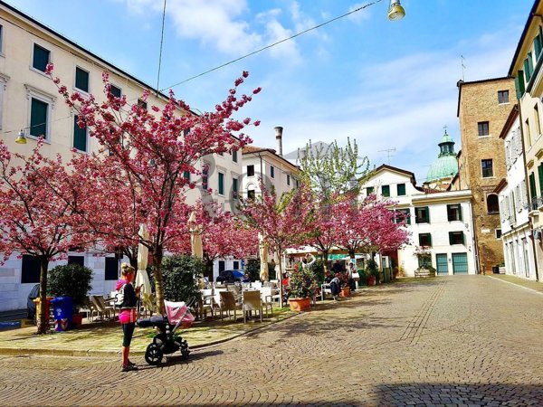 negozio in vendita a Treviso