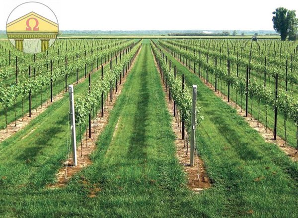 casa indipendente in vendita a Treviso in zona San Pelaio