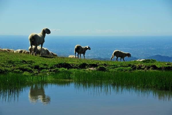 casa indipendente in vendita a Treviso
