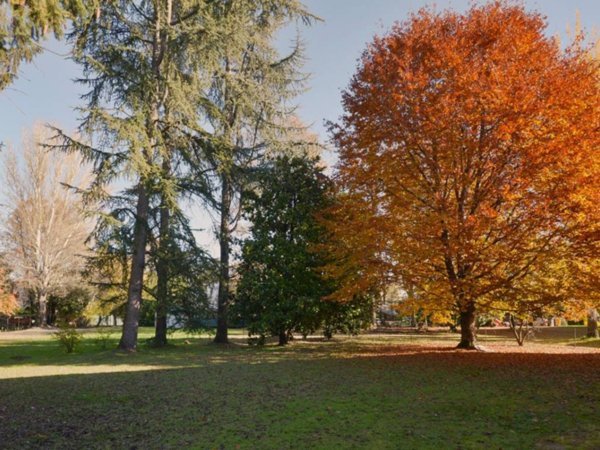 casa indipendente in vendita a Treviso in zona Centro Storico
