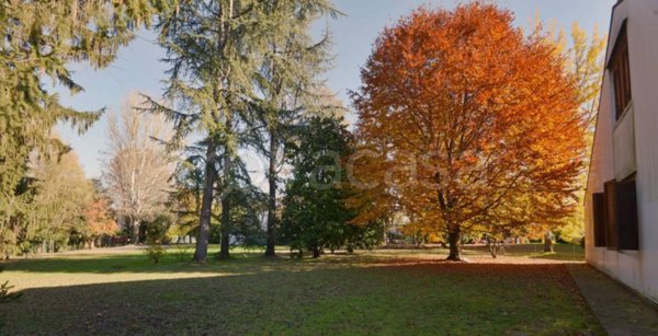 immagine annuncio 0 di 11