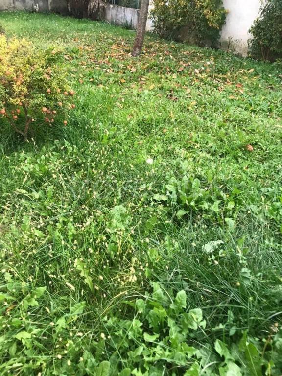 casa indipendente in vendita a Treviso in zona Centro Storico