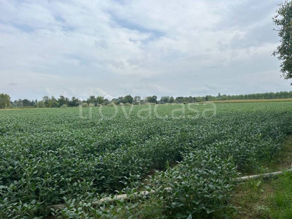 casa indipendente in vendita a Treviso in zona Ghirada / San Zeno