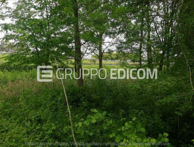 terreno edificabile in vendita a Treviso