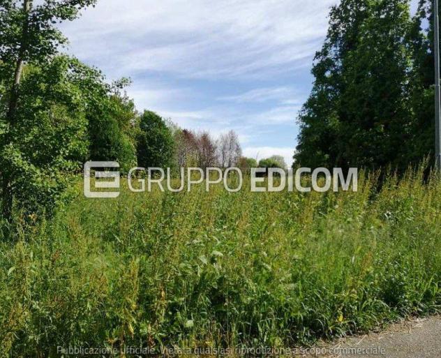 terreno agricolo in vendita a Treviso