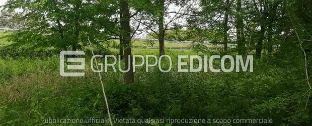 ufficio in vendita a Treviso in zona San Lazzaro