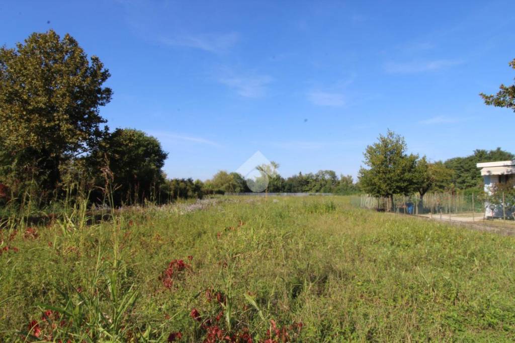 terreno agricolo in vendita a Treviso in zona Ghirada / San Zeno