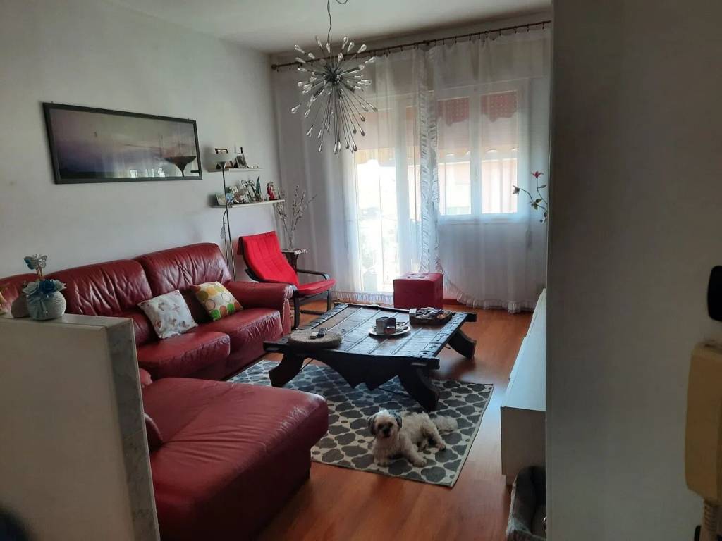 appartamento in vendita a Treviso in zona Ghirada / San Zeno