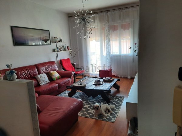 appartamento in vendita a Treviso in zona Ghirada / San Zeno