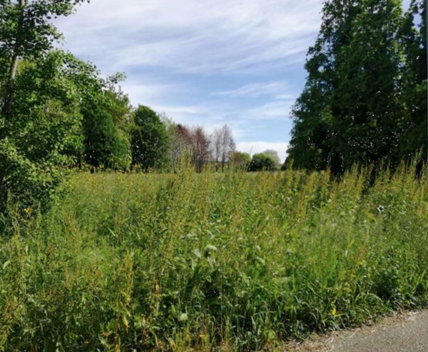 terreno agricolo in vendita a Treviso
