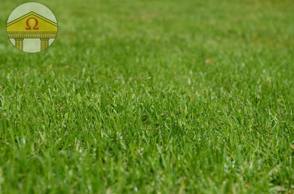 bifamiliare in vendita a Treviso in zona Centro Storico