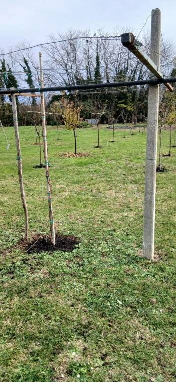 terreno agricolo in vendita a Treviso in zona San Giuseppe
