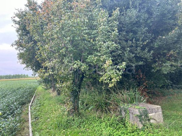 casa indipendente in vendita a Treviso in zona Ghirada / San Zeno