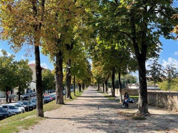 casa indipendente in vendita a Treviso