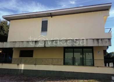 negozio in vendita a Treviso