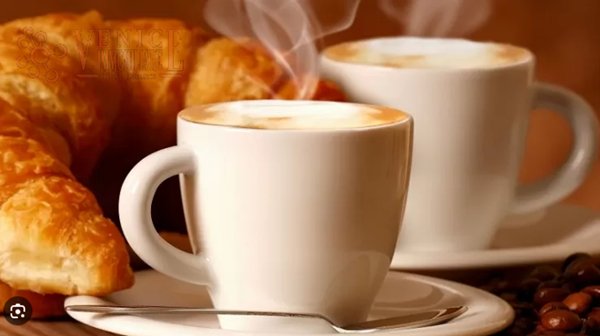 negozio in vendita a Treviso in zona Centro Storico