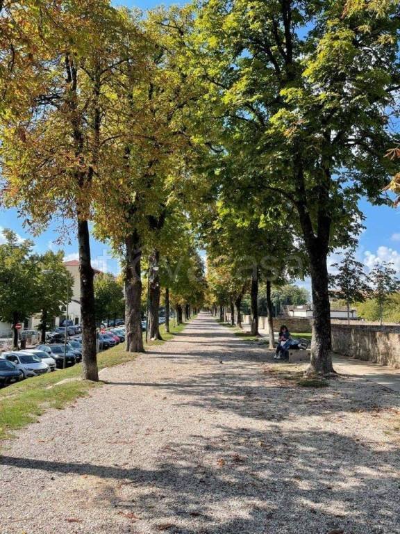 casa indipendente in vendita a Treviso in zona Centro Storico