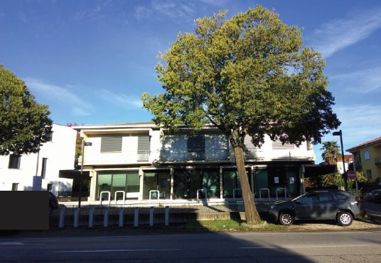 appartamento in vendita a Treviso in zona Santa Bona