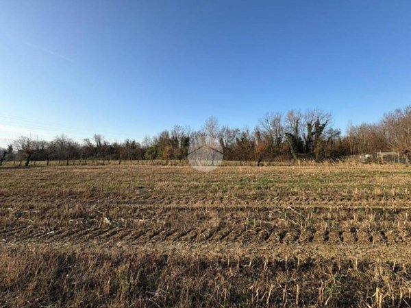 terreno agricolo in vendita a Treviso in zona Sant'Antonino