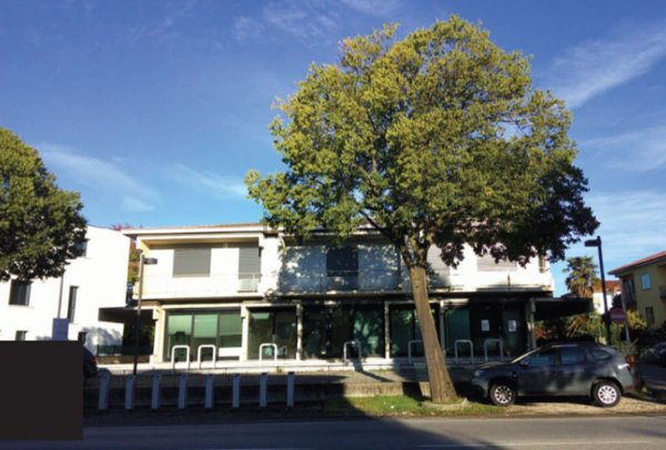 appartamento in vendita a Treviso in zona Santa Bona