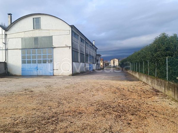 appartamento in vendita a Treviso in zona Canizzano