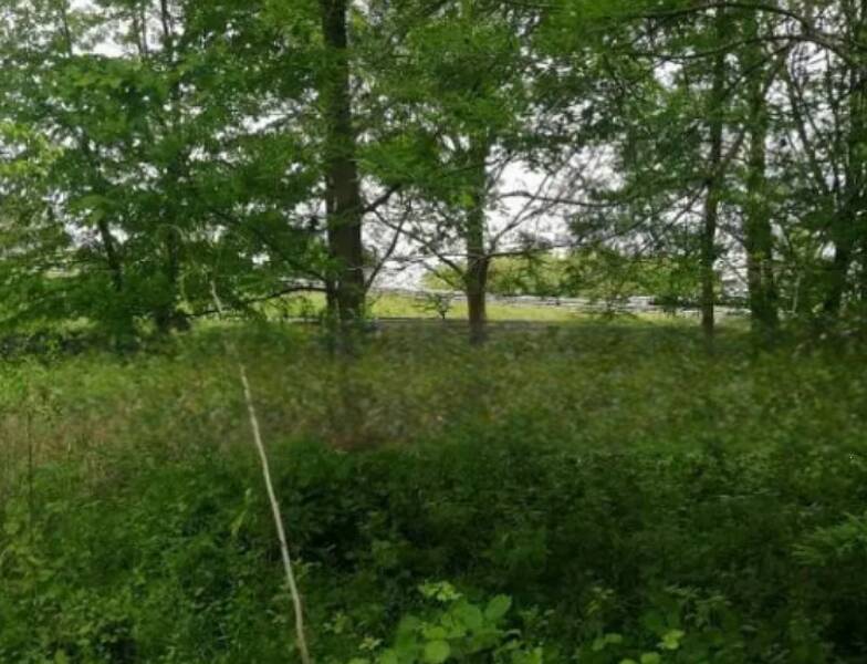 terreno agricolo in vendita a Treviso