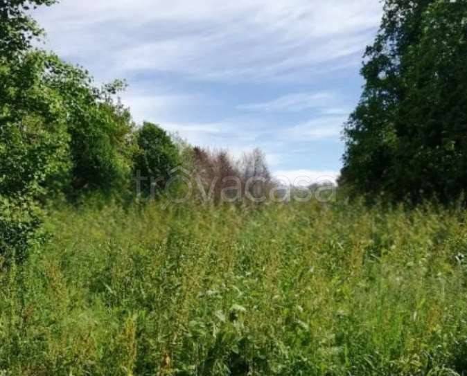 appartamento in vendita a Treviso in zona San Lazzaro