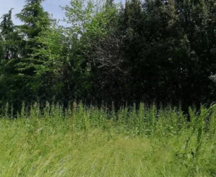 terreno agricolo in vendita a Treviso