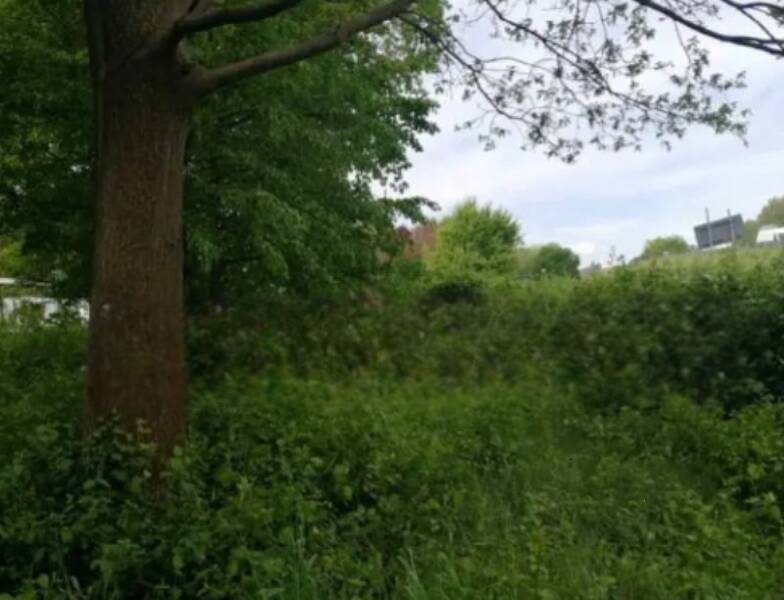 terreno agricolo in vendita a Treviso