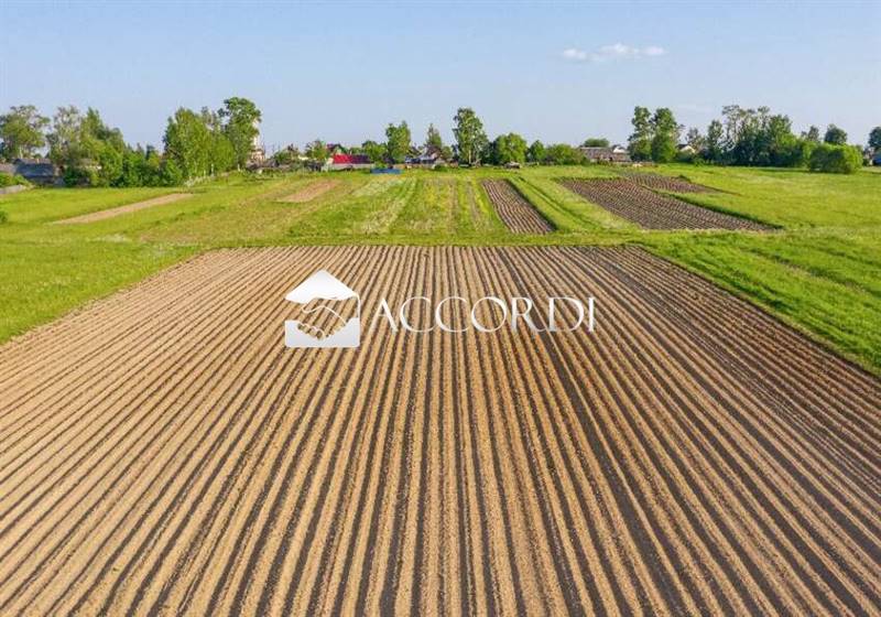 terreno agricolo in vendita a Treviso