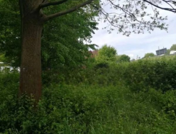 terreno agricolo in vendita a Treviso