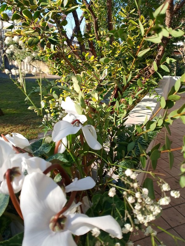 casa indipendente in vendita a Treviso