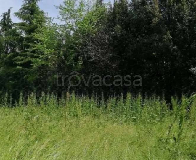 appartamento in vendita a Treviso in zona San Lazzaro