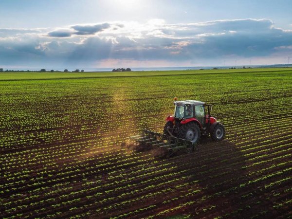 terreno agricolo in vendita a Treviso in zona Canizzano