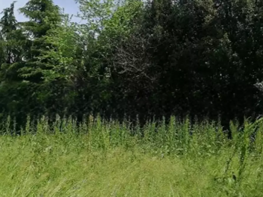 terreno agricolo in vendita a Treviso
