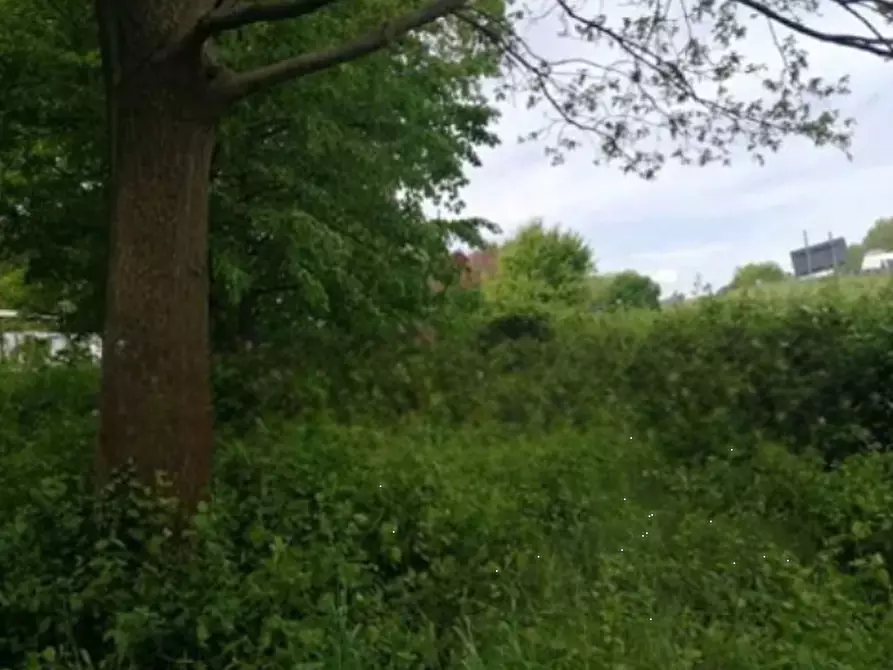 terreno agricolo in vendita a Treviso