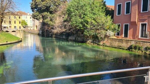 appartamento in vendita a Treviso in zona Centro Storico
